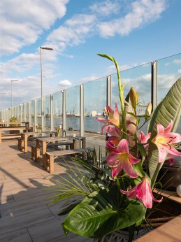 Blumendeko auf der Elbterrasse